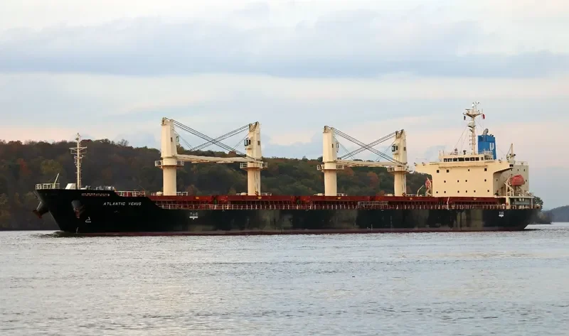 STELLAR ENGURI Bulk Carrier IMO 9628257 photo 3