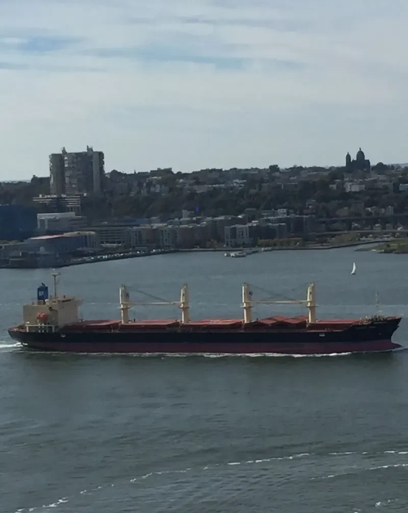 STELLAR ENGURI Bulk Carrier IMO 9628257 photo 4