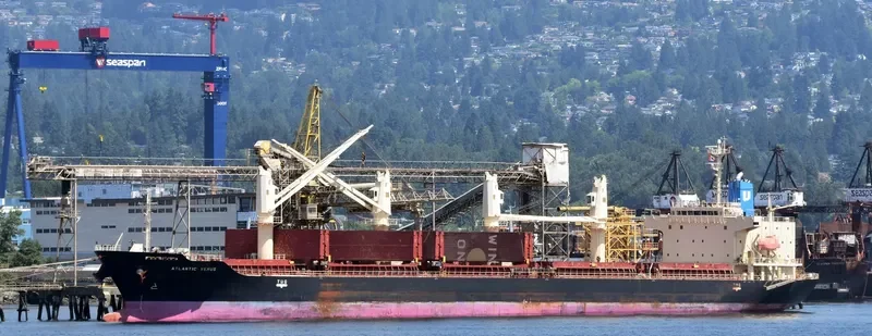 STELLAR ENGURI Bulk Carrier IMO 9628257 photo 5