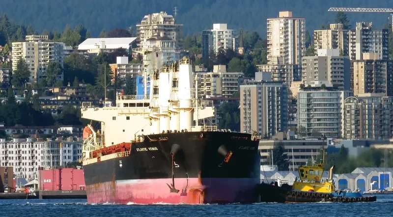 STELLAR ENGURI Bulk Carrier IMO 9628257 photo 6