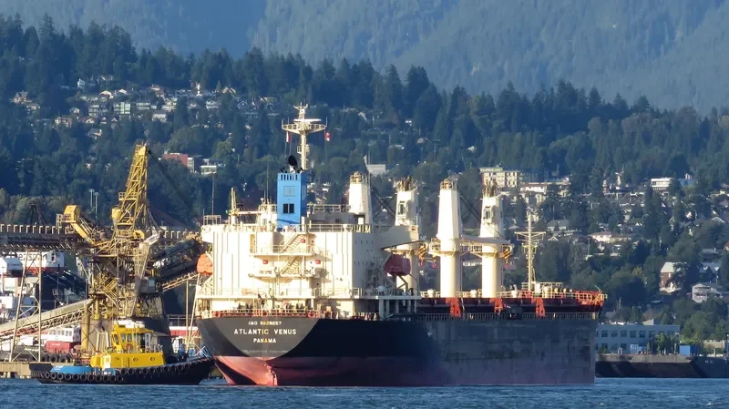 STELLAR ENGURI Bulk Carrier IMO 9628257 photo 7