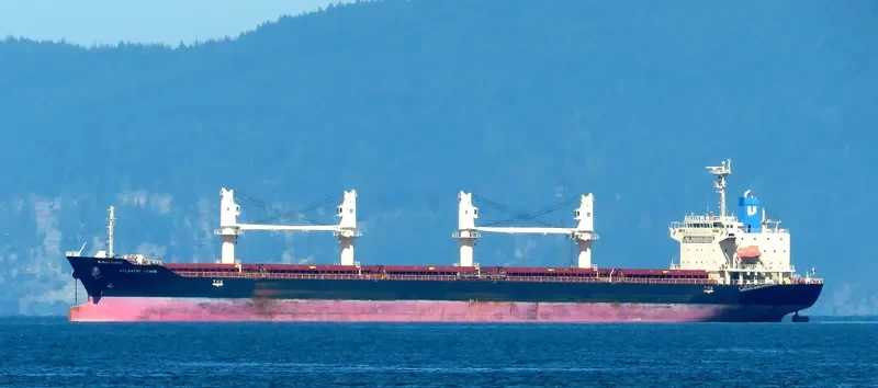 STELLAR ENGURI Bulk Carrier IMO 9628257 photo 10