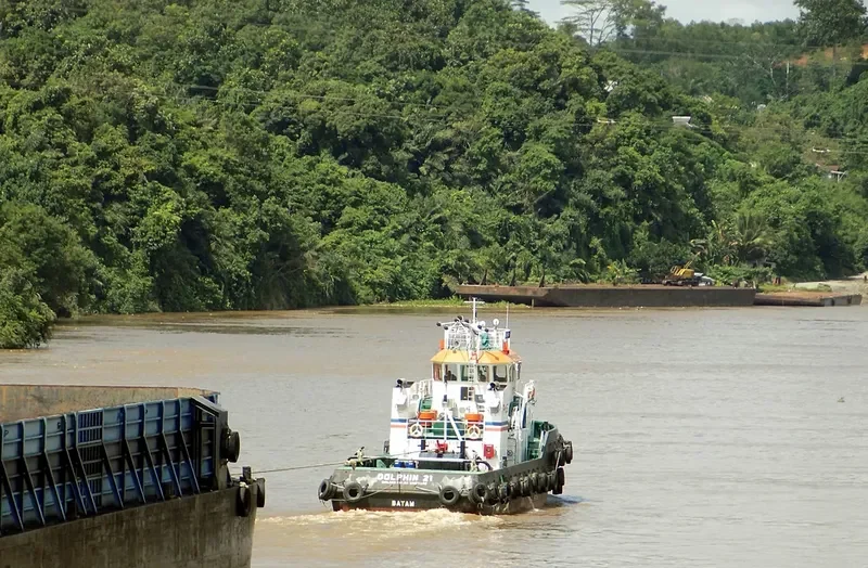 DOLPHIN 21 General Cargo IMO 9628269