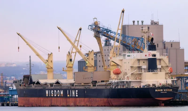 BUNUN WISDOM Bulk Carrier IMO 9628568