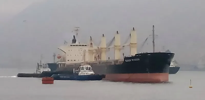 BUNUN WISDOM Bulk Carrier IMO 9628568 photo 9