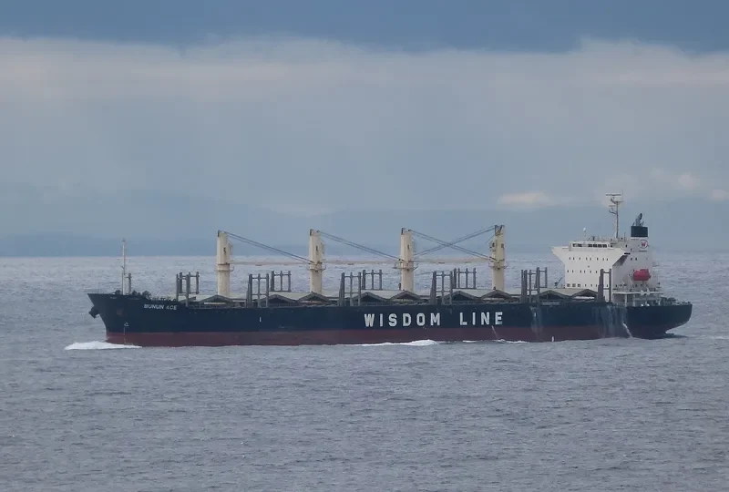 BUNUN ACE Bulk Carrier IMO 9628570