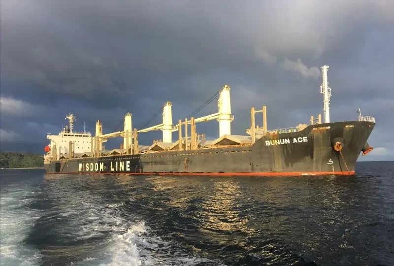 BUNUN ACE Bulk Carrier IMO 9628570 photo 2