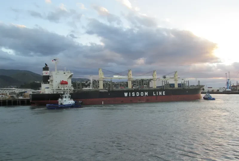 BUNUN ACE Bulk Carrier IMO 9628570 photo 3