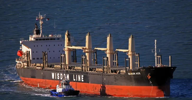 BUNUN ACE Bulk Carrier IMO 9628570 photo 10