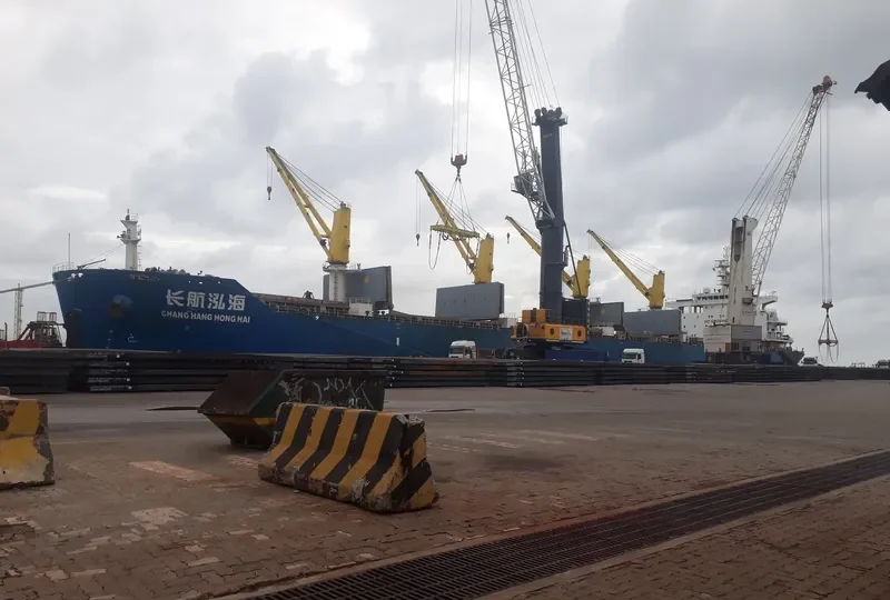 CHANG HANG HONG HAI Bulk Carrier IMO 9628702 photo 2