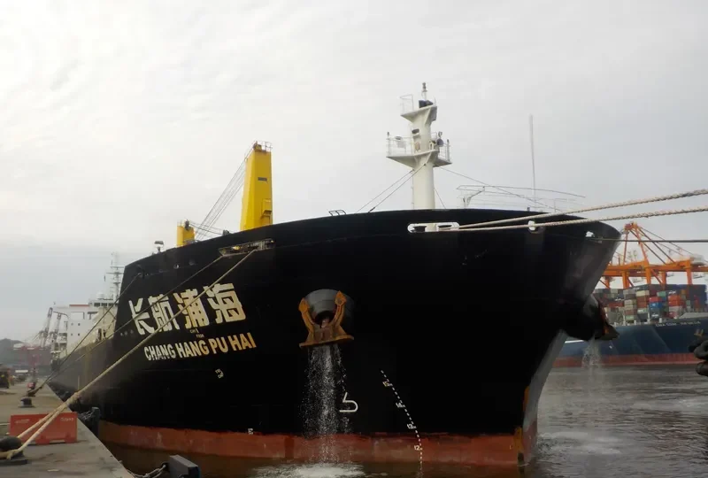 CHANG HANG PU HAI Bulk Carrier IMO 9628738