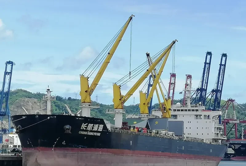CHANG HANG PU HAI Bulk Carrier IMO 9628738 photo 3