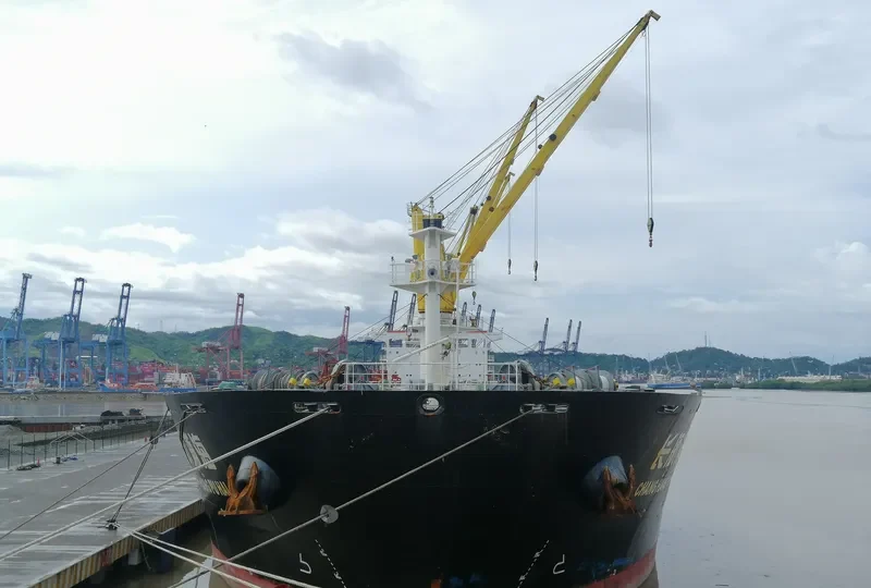CHANG HANG PU HAI Bulk Carrier IMO 9628738 photo 4