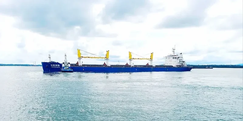 CHANG HANG BIN HAI Bulk Carrier IMO 9628764 photo 3