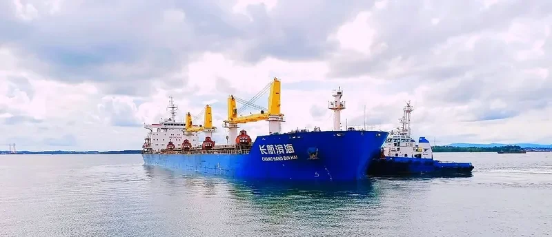 CHANG HANG BIN HAI Bulk Carrier IMO 9628764 photo 4