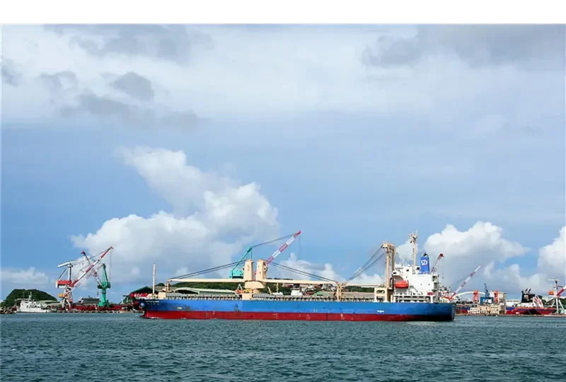DERYOUNG SUCCESS General Cargo IMO 9628867 photo 6