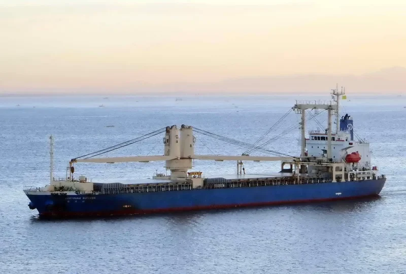 DERYOUNG SUCCESS General Cargo IMO 9628867 photo 9