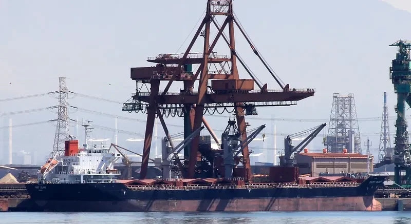 FAIRY ISLAND Bulk Carrier IMO 9628879