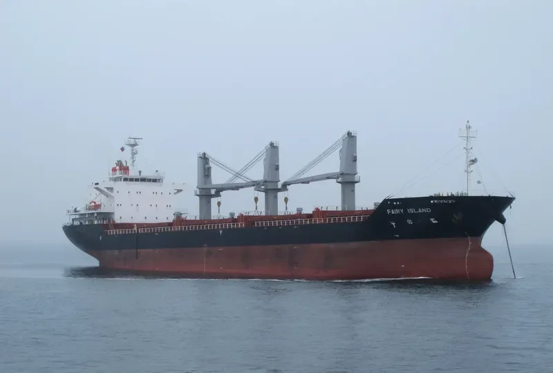 FAIRY ISLAND Bulk Carrier IMO 9628879 photo 5