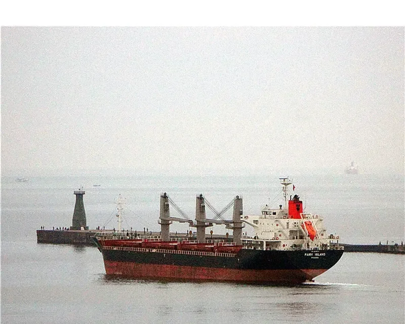 FAIRY ISLAND Bulk Carrier IMO 9628879 photo 7