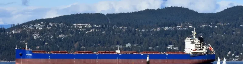GALAXY Bulk Carrier IMO 9628908 photo 3