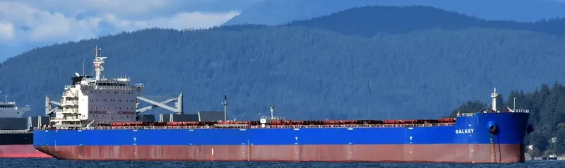 GALAXY Bulk Carrier IMO 9628908 photo 4