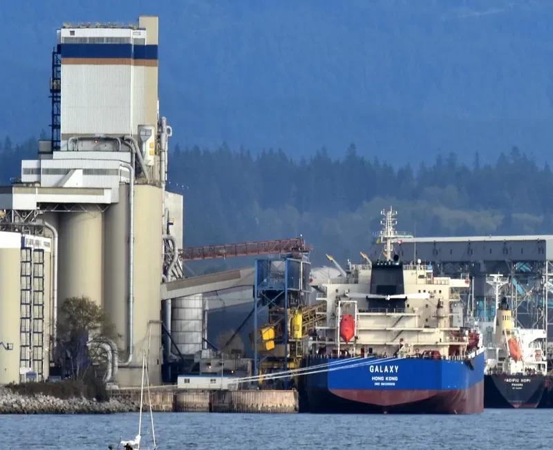 GALAXY Bulk Carrier IMO 9628908 photo 6