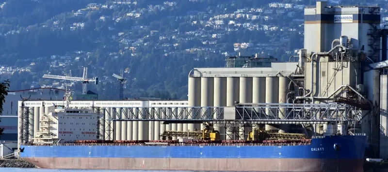 GALAXY Bulk Carrier IMO 9628908 photo 7