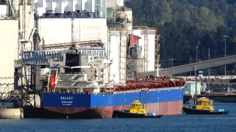 GALAXY Bulk Carrier IMO 9628908 photo 8