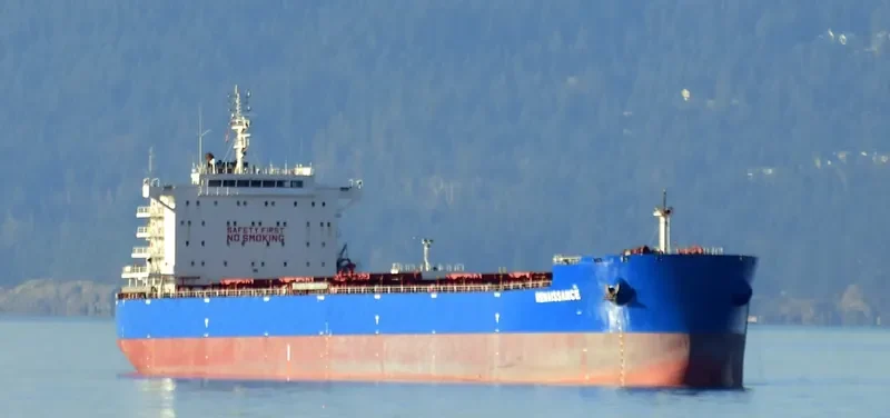 RENAISSANCE Bulk Carrier IMO 9628910