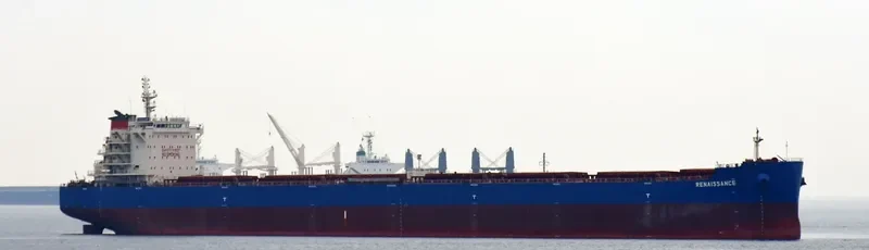 RENAISSANCE Bulk Carrier IMO 9628910 photo 5