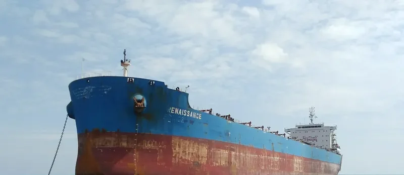 RENAISSANCE Bulk Carrier IMO 9628910 photo 6