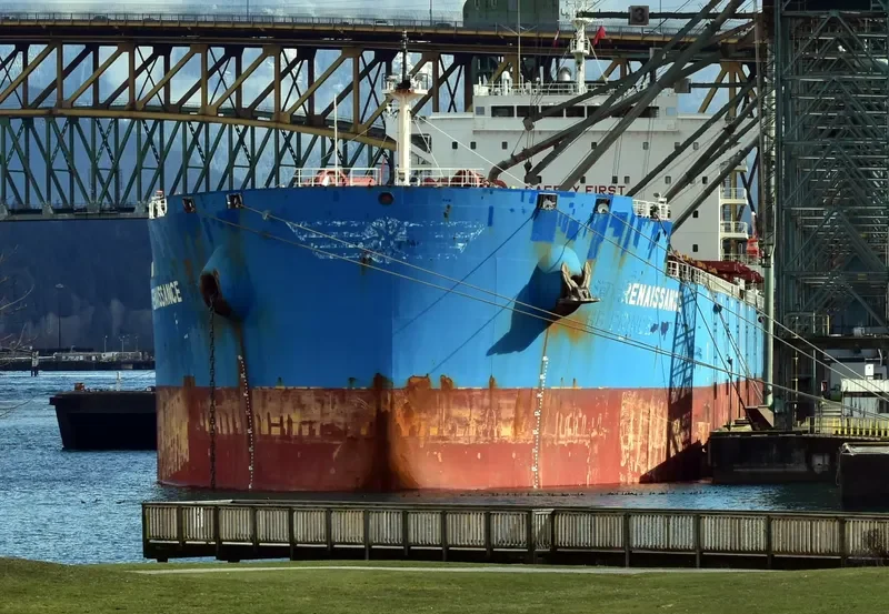 RENAISSANCE Bulk Carrier IMO 9628910 photo 9