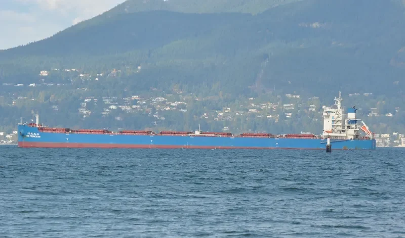 MILD SEA Bulk Carrier IMO 9628922