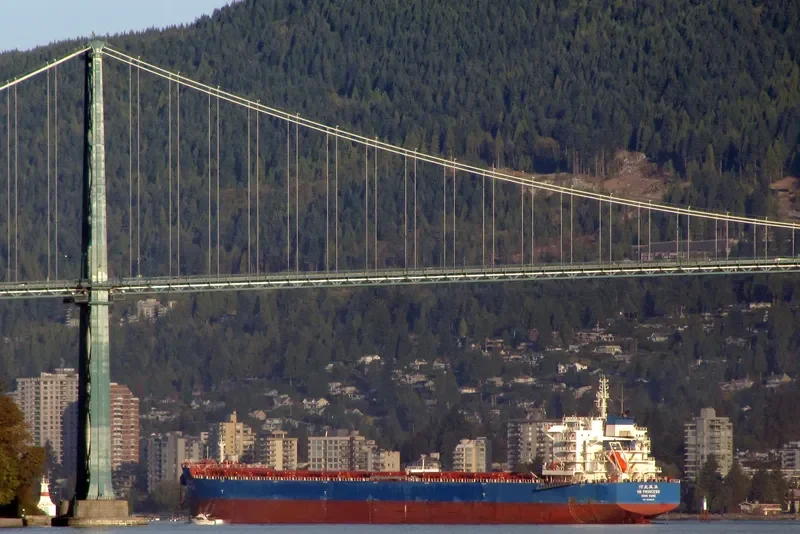 MILD SEA Bulk Carrier IMO 9628922 photo 2