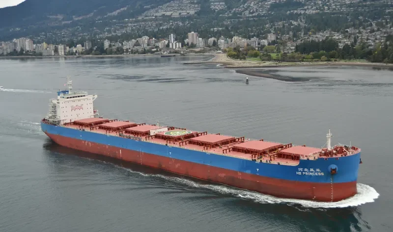 MILD SEA Bulk Carrier IMO 9628922 photo 3