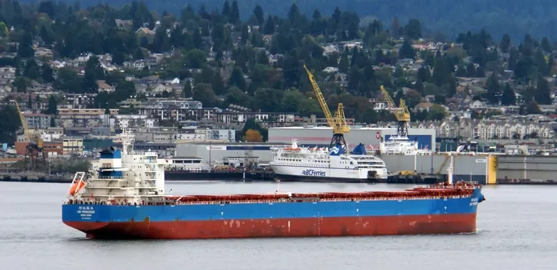 MILD SEA Bulk Carrier IMO 9628922 photo 4