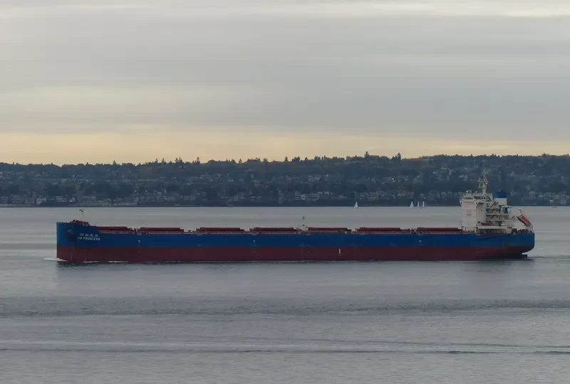 MILD SEA Bulk Carrier IMO 9628922 photo 5