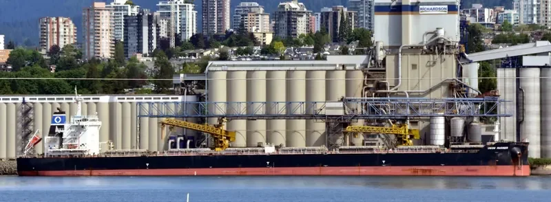 UNION MARINER Bulk Carrier IMO 9628934 photo 3