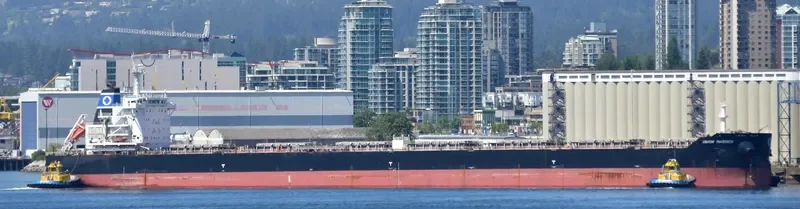 UNION MARINER Bulk Carrier IMO 9628934 photo 4