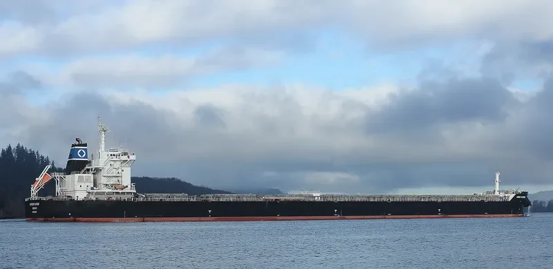 UNION MARINER Bulk Carrier IMO 9628934 photo 9