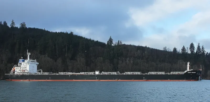 UNION MARINER Bulk Carrier IMO 9628934 photo 10