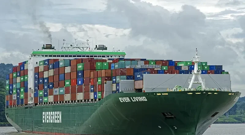 EVER LIVING Container Ship IMO 9629031 photo 3
