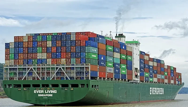 EVER LIVING Container Ship IMO 9629031 photo 4