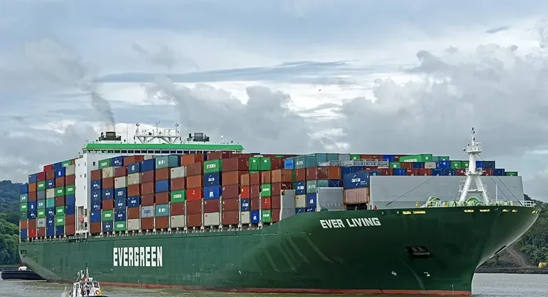 EVER LIVING Container Ship IMO 9629031 photo 5