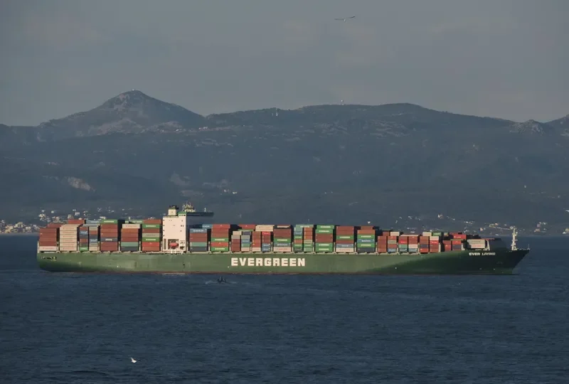 EVER LIVING Container Ship IMO 9629031 photo 9