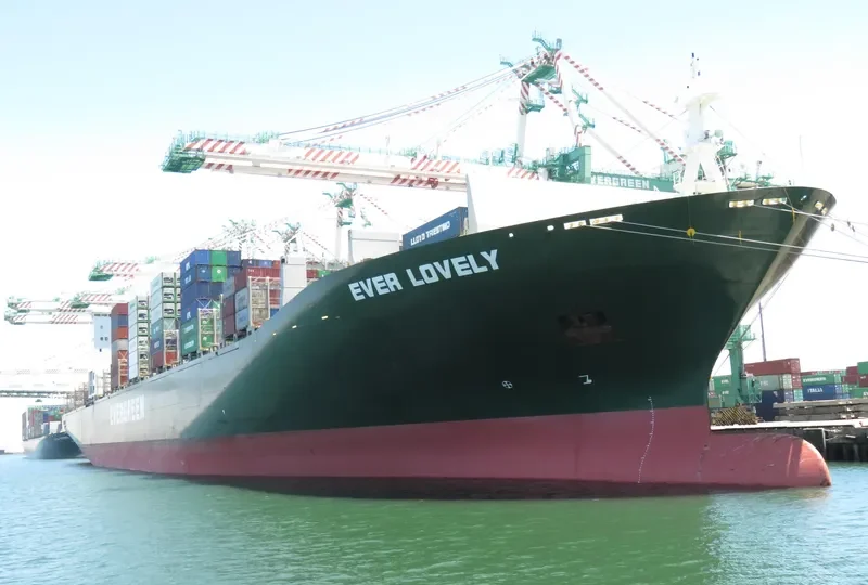 EVER LOVELY Container Ship IMO 9629110 photo 3