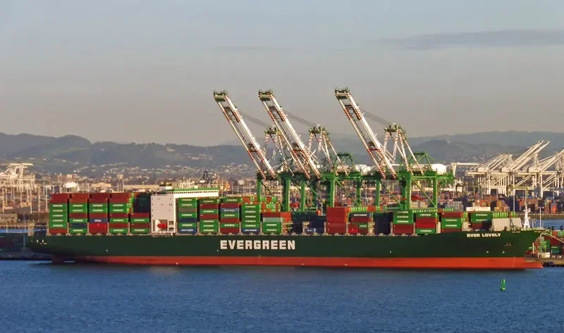 EVER LOVELY Container Ship IMO 9629110 photo 5