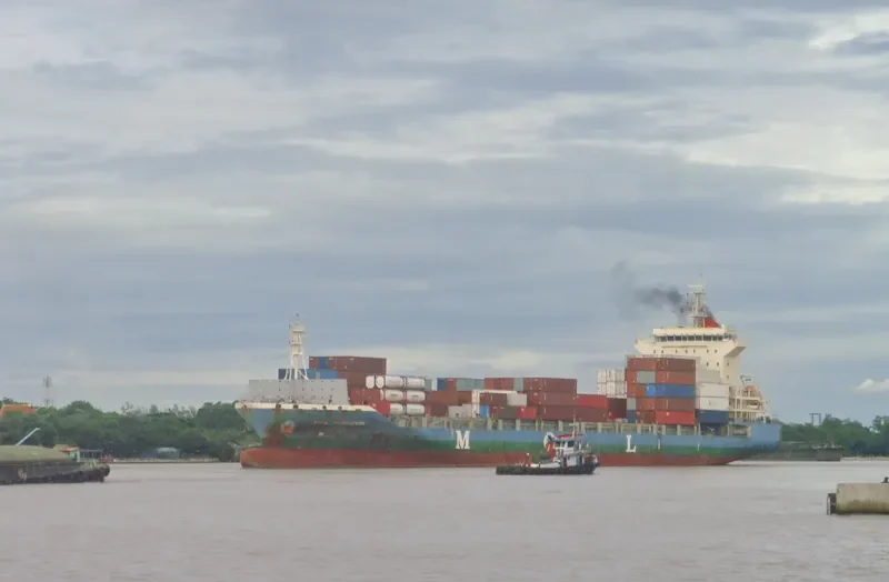 GREEN HORIZON Container Ship IMO 9629158 photo 3
