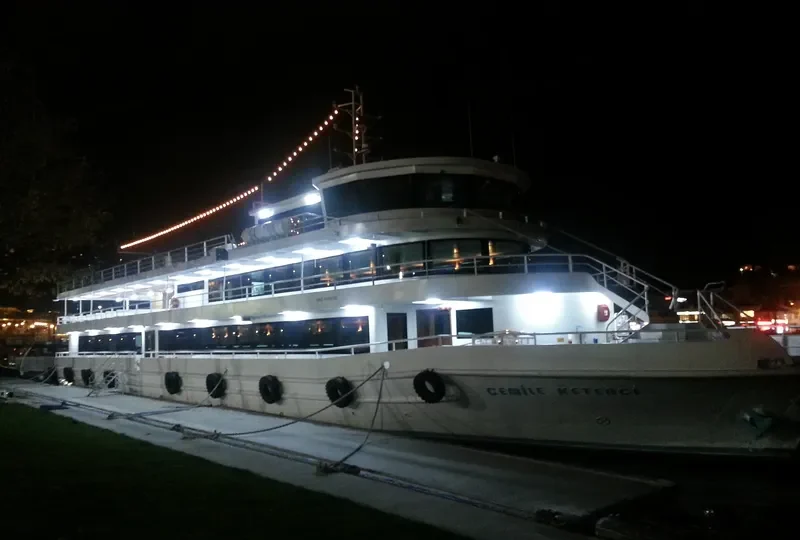 CEMILE KETENCI Passenger Ship IMO 9629172 photo 8